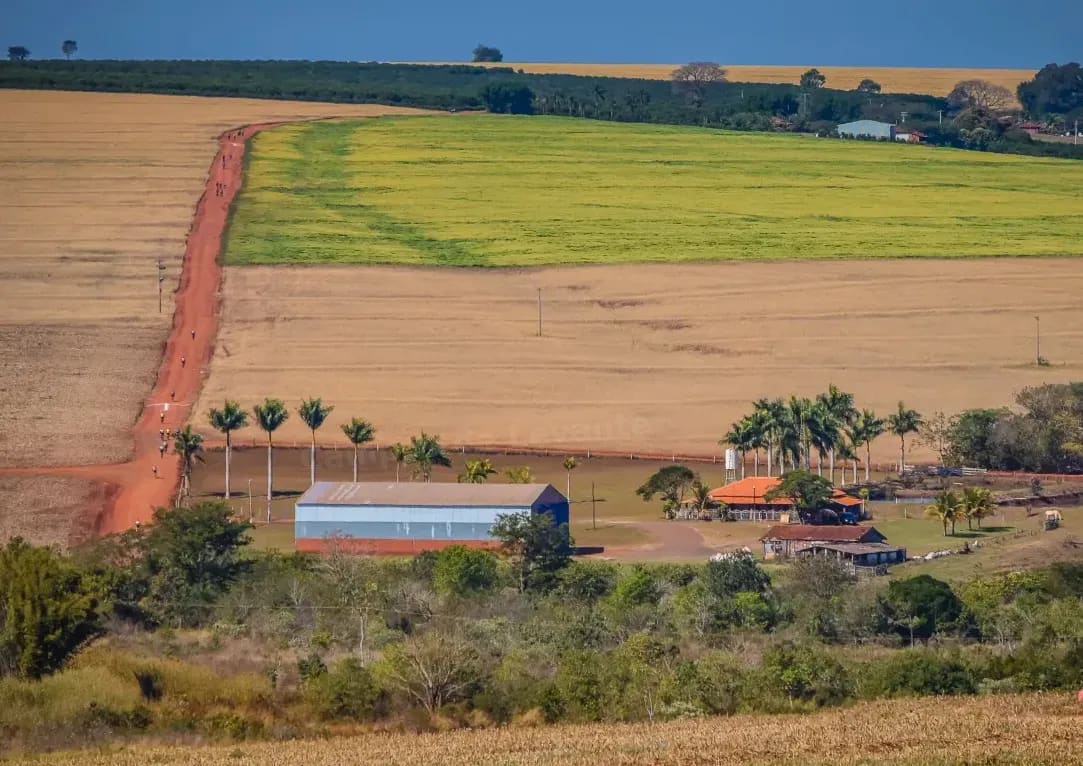 Trabajo de campo en temporada de recogida