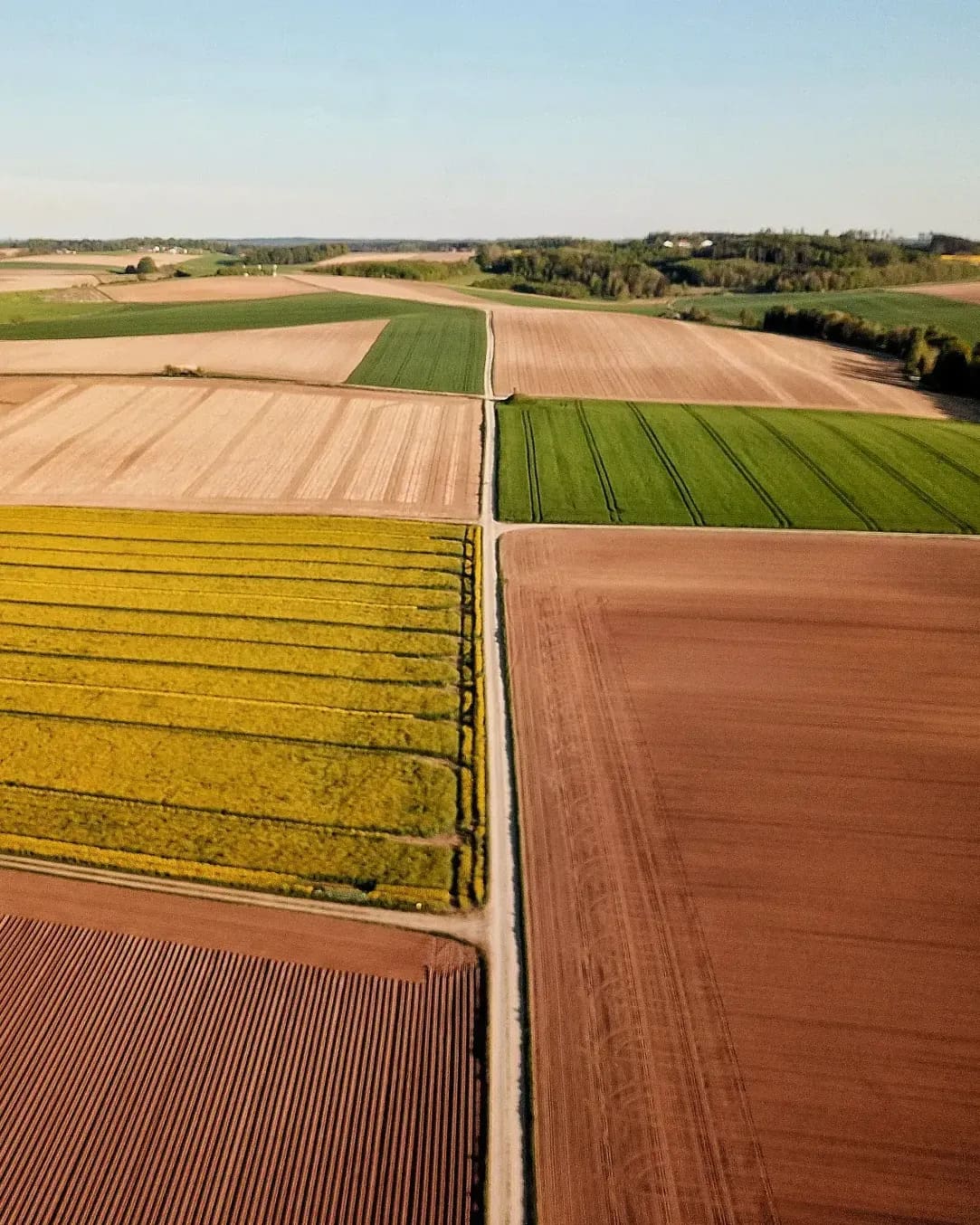 Campos de Levante 12