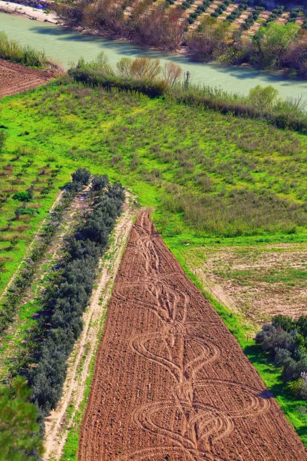 Campos de Levante 15
