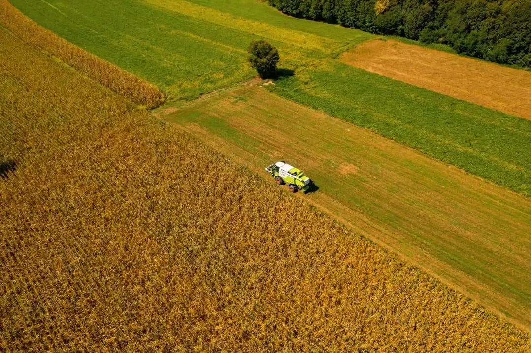 Campos de Levante 7