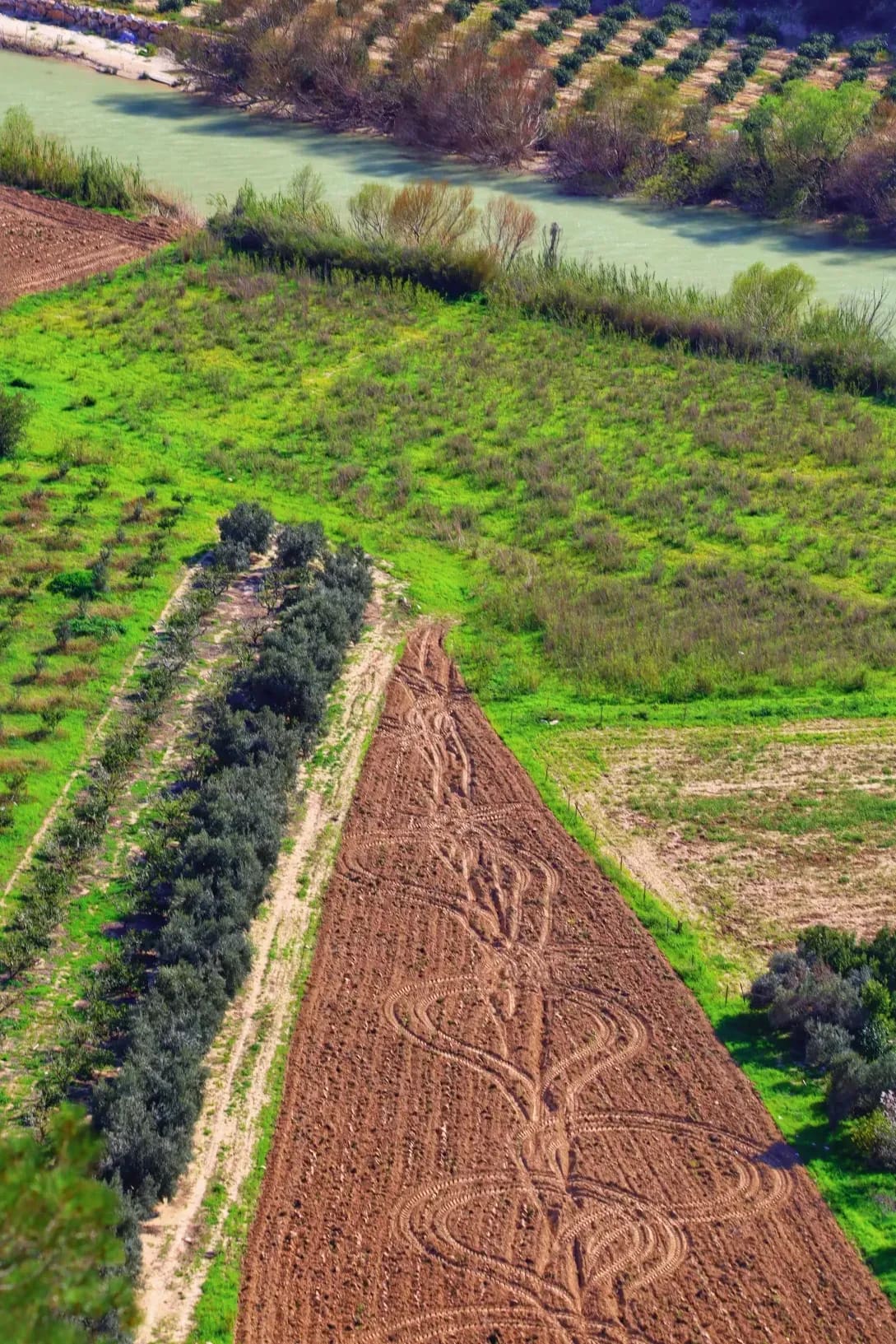 Cultivo y gestión de explotaciones agrícolas